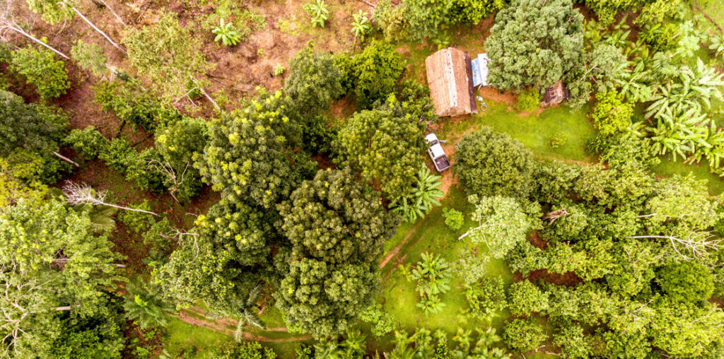 aerial view of farm in brazil featuring a house with a while truck parked next to it surrroundied by rainforest